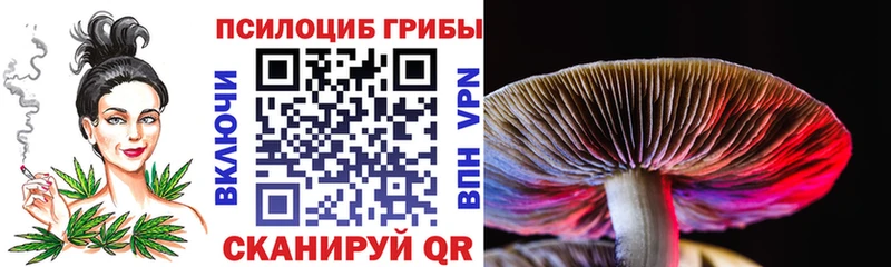 Купить  Плавск  Галлюциногенные грибы мухоморы 